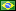 Portuguese Brazilian